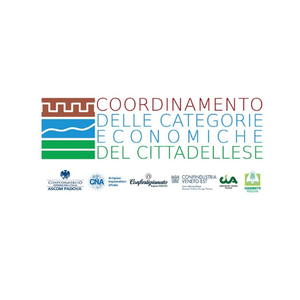 Ipa Medio Brenta logo